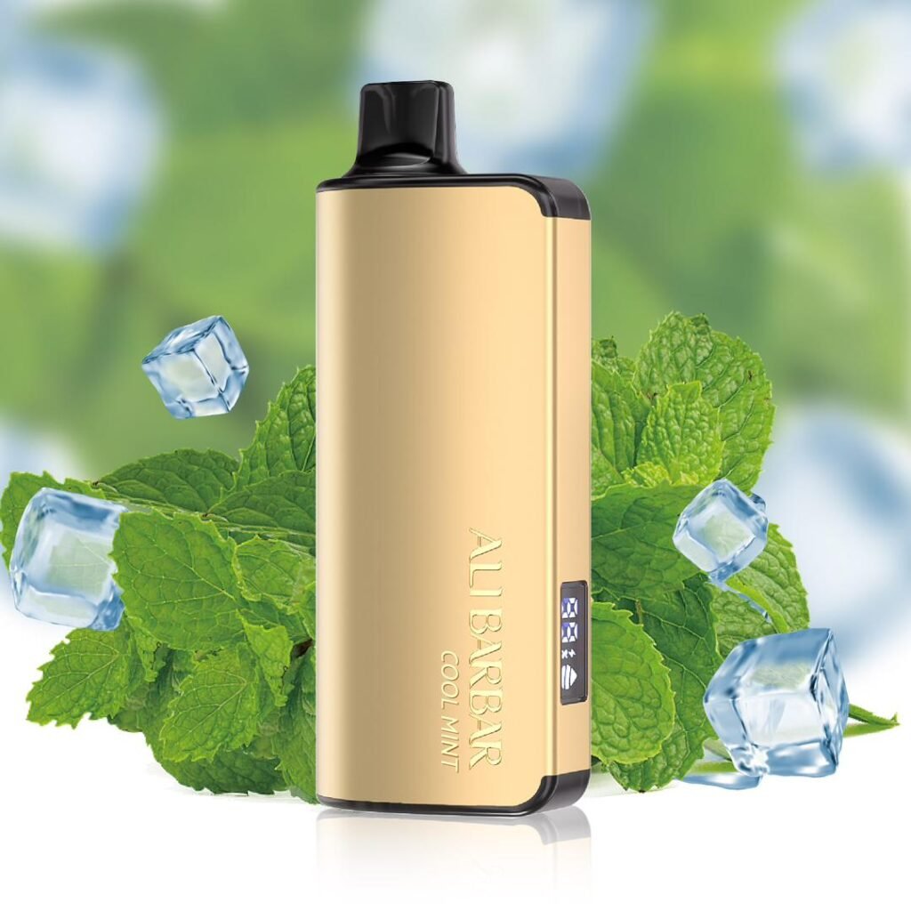 ALIBARBAR INGOT 9000 PUFF – COOL MINT